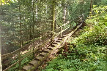 preview von Holzweg Baiersbronn