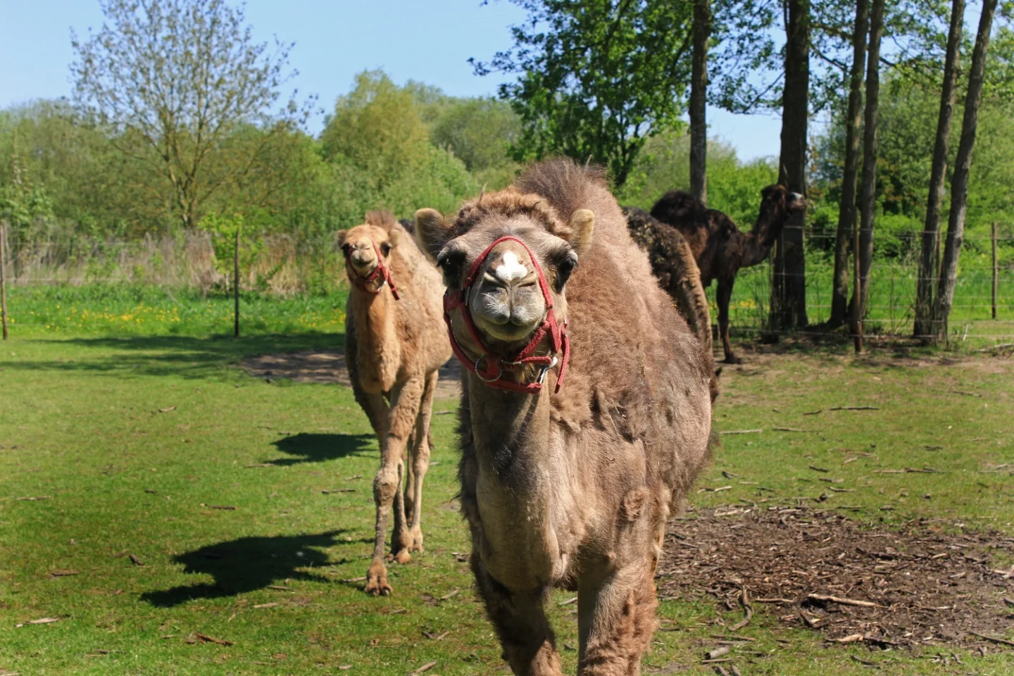 Vorschaubild des Ortes