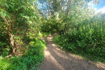 preview von Mountainbike Trail beim Heidesee