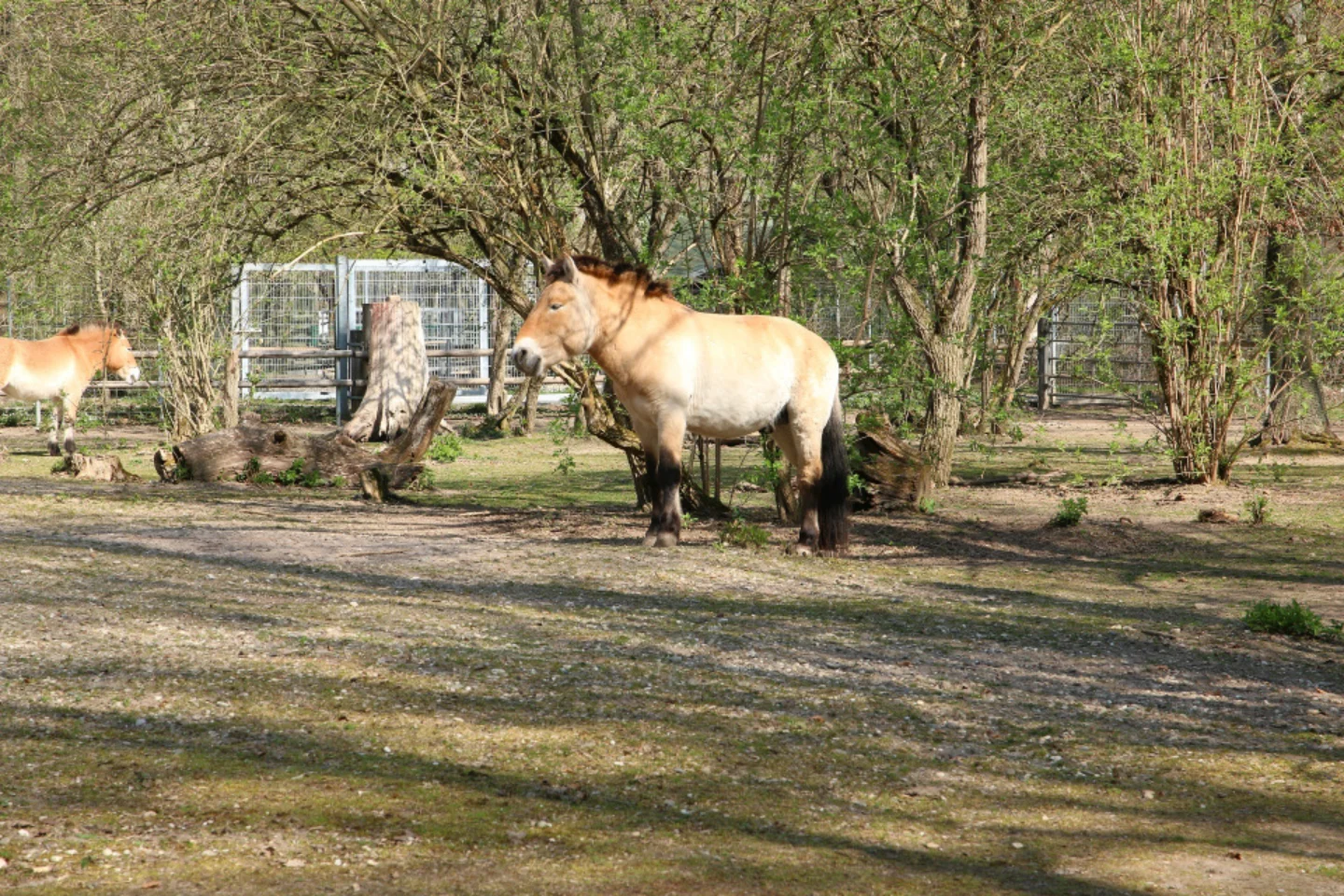 Vorschaubild des Ortes