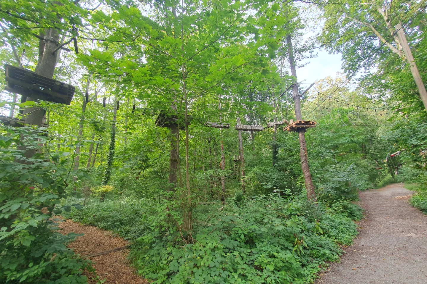 Vorschaubild von Waldseilpark Karlsruhe