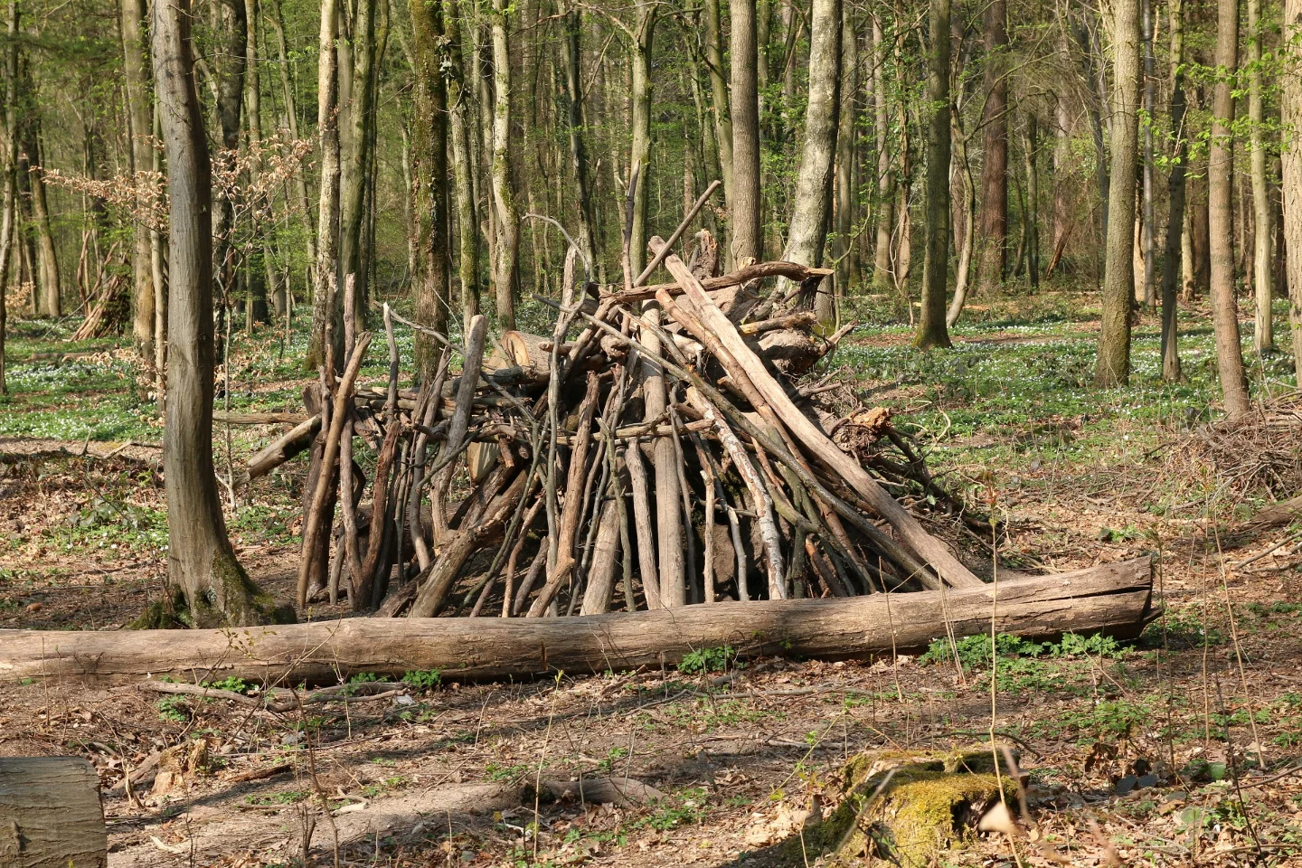 Vorschaubild des Ortes