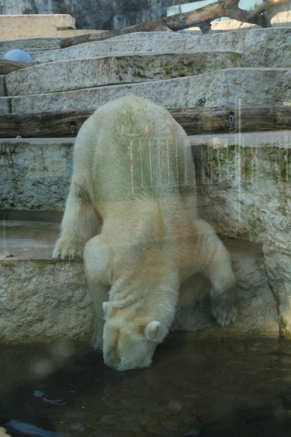 Vorschaubild des Ortes